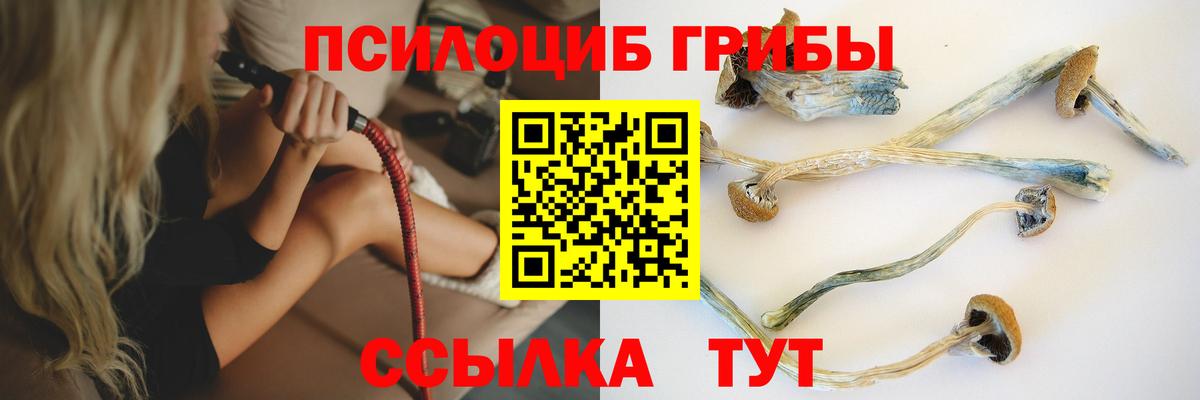 Псилоцибиновые грибы GOLDEN TEACHER  Вход с VPN  Тверь 