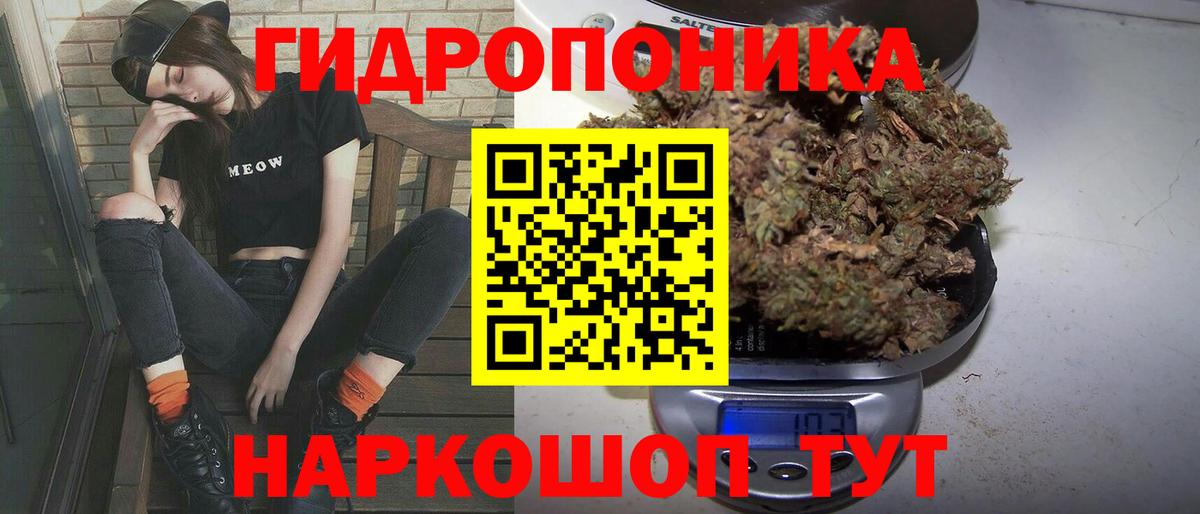 Бошки марихуана гибрид  Конопля индика  Вход с VPN  Тверь  Бошки марихуана конопля 